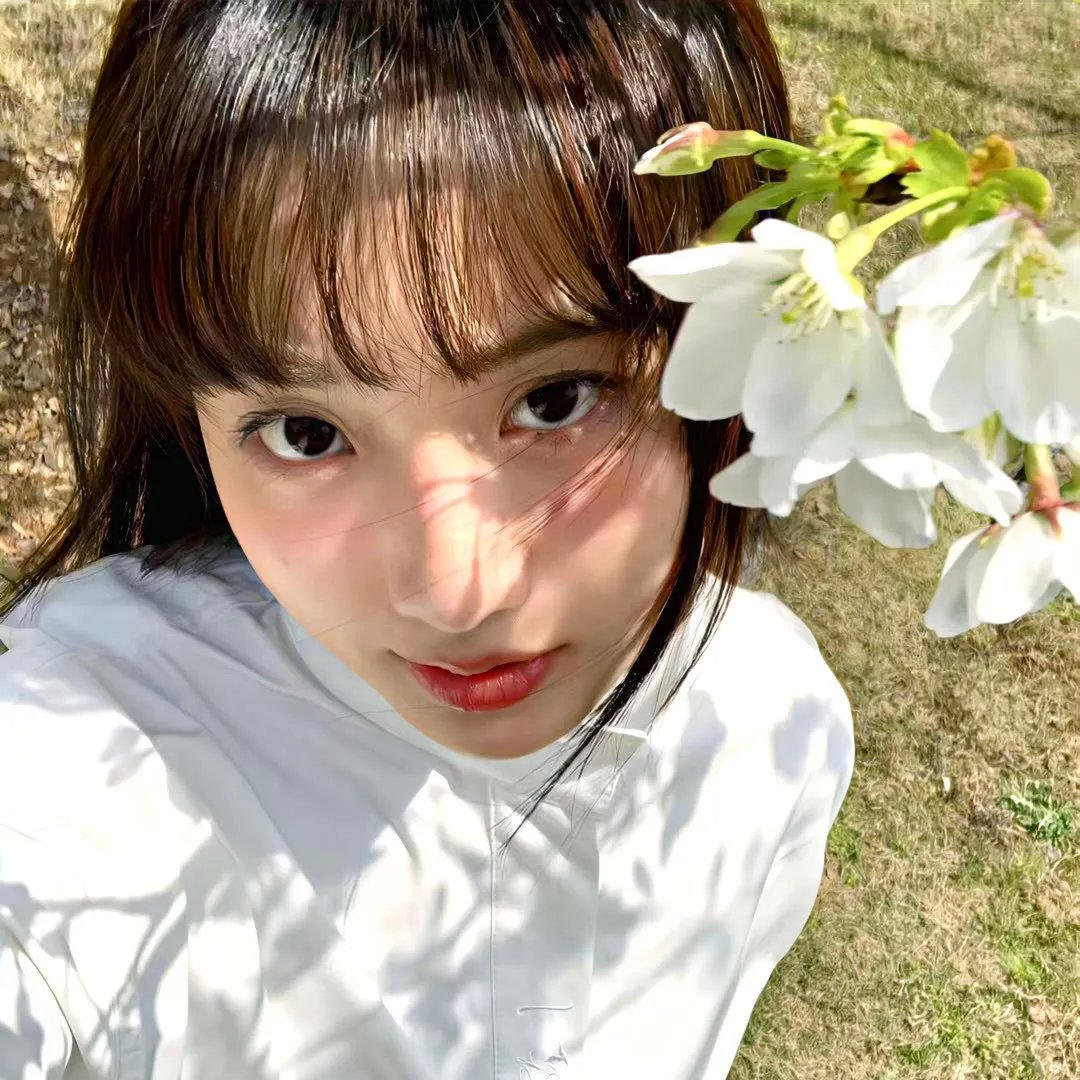 宝芝林粤语