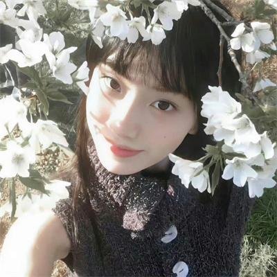 红衣主教